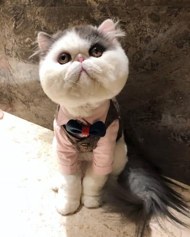 单身女性自慰对身体健康有害吗【yabo鸭脖集团】(图1) yabo鸭脖