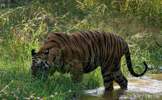 合作共赢 共同开启黄金行业高质量发展新篇章【yabo鸭脖集团】(图2) YABO鸭脖官网