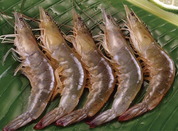 诊所“医生”欲证明自己的偏方安全,吃下一口后中毒身亡……:yabo鸭脖(图2) yabo鸭脖