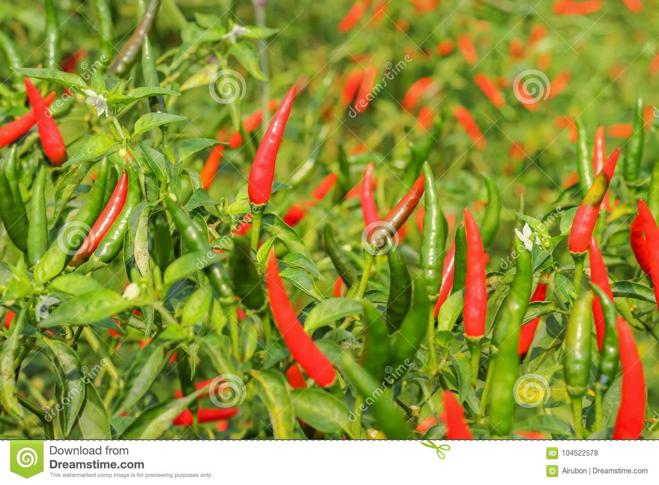 时隔1238天再获意甲胜利 国米外租小将反戈一击成最大功臣‘YABO鸭脖官网’(图3) yabo鸭脖