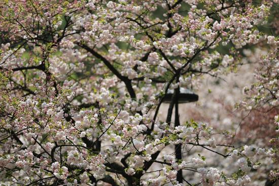 证监会就股票发行注册制改革等答记者问‘YABO鸭脖官网’(图2) YABO鸭脖官网