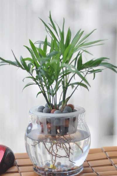 ‘YABO鸭脖官网’广东20家医疗机构乱收费发改委列医疗费六骗局(图1) yabo鸭脖